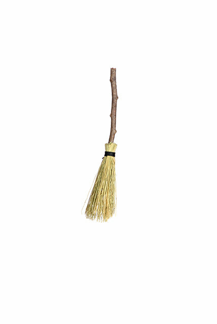 Baby Brooms