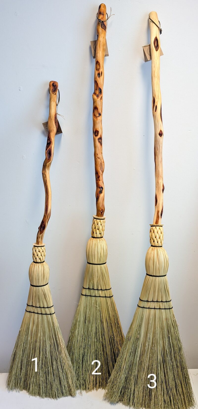 Diamond Willow
